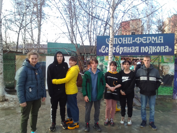 Выезд на пони-ферму «Сибирская подкова».