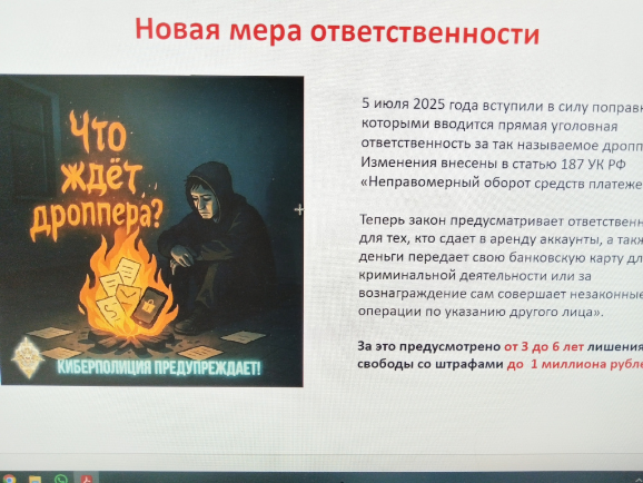 За все заплатит дроп