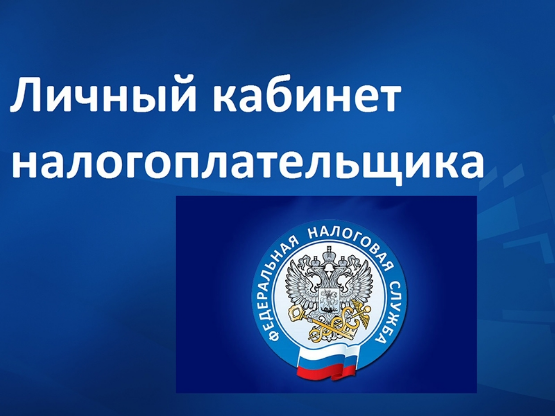 Личный кабинет налогоплательщика через портал госуслуг