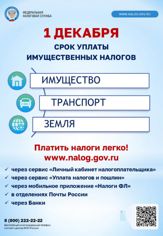 1 декабря - срок уплаты имущественных налогов