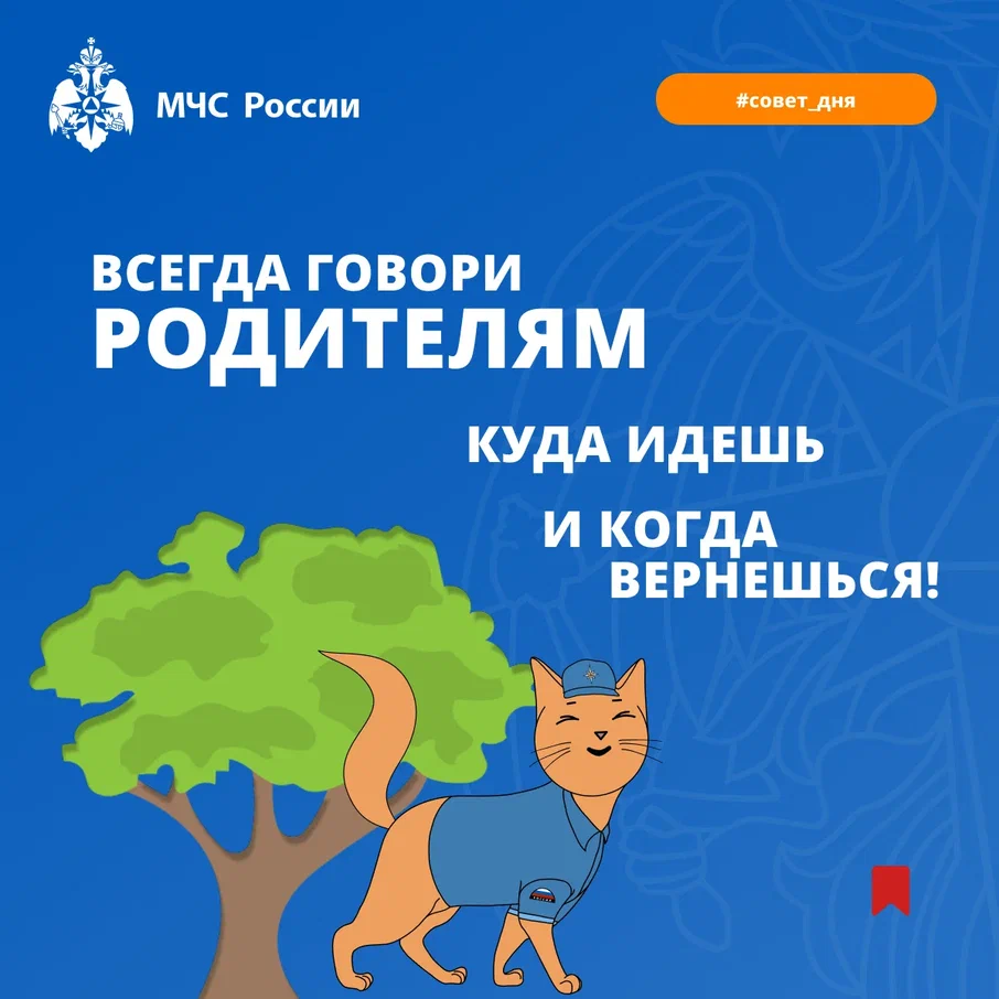 8.png